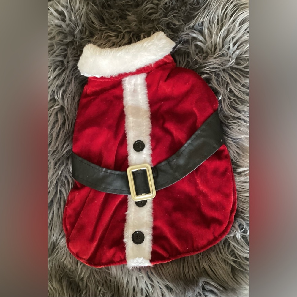🚨 Red Santa Dog Costume with Belt Plus Santa Hat